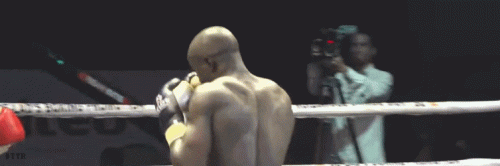 seguntko32r3f34lk.gif