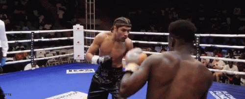 bert3ftt444t5649.gif
