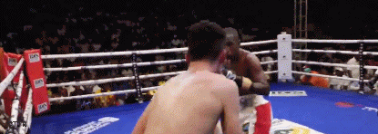 hll333fsd333f3.gif