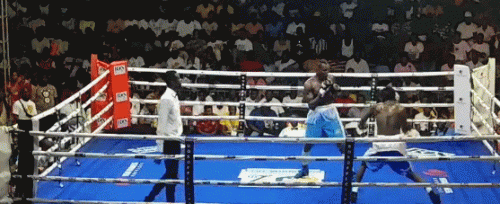 ktoft3t3tt6549rht.gif