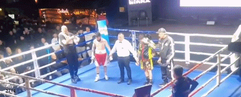 forte2r2frtf33.gif