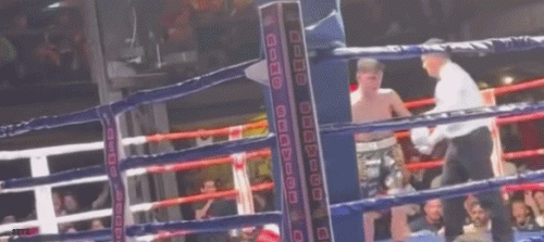 qmili23t3wefrdst.gif