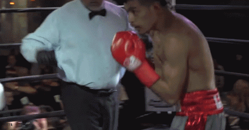 arelko22ewdf2mkor.gif