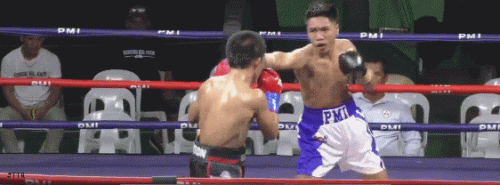 borer3ferettgr65.gif