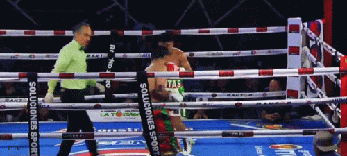 cejitako23r233.gif