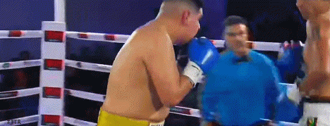 drawcriser2f3tt3.gif