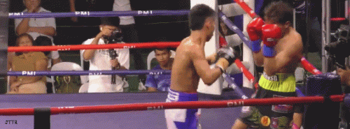 poeresi33werfwdr56.gif