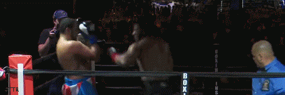 pryce3werf3ttgrf.gif
