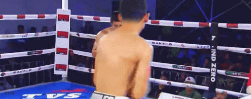 robles1.gif