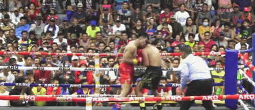 rodewl33t37grfde.gif