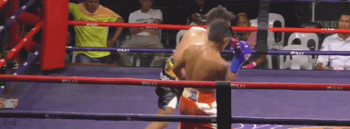 senov23fdwrt33.gif