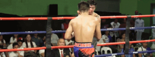 tang3rt3wefg3t.gif