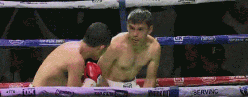 ewrfsdw33333333333321wdfs.gif