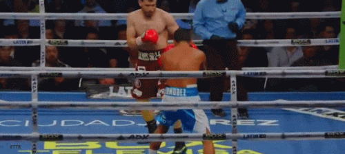 flroes23r3f3rt.gif