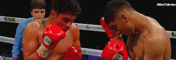 girrerfr33te4teg.gif