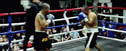 barancpo54vs45dvsd.gif