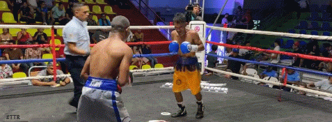 by6reervgsdfzdws.gif