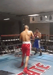 edgarswgf65sdf65sdf.gif