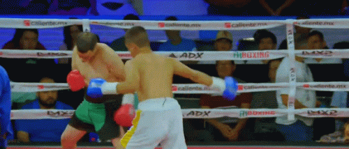 espinzoa4fd5s7f6sdfsd.gif