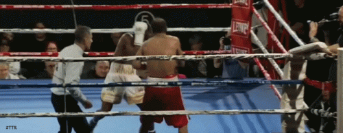fra456468e4rvag6ee465.gif