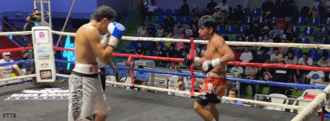 osdaf6c5vdz6b4dfb.gif