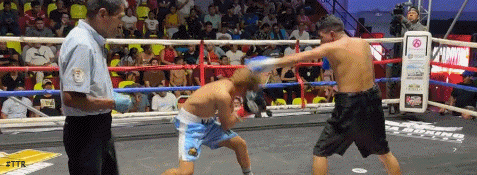 yilmr5dsvsd65v4dfv.gif