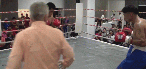 dfsg68sdf7g8df6sg.gif