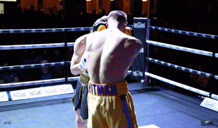 willkorwetwe56556.gif