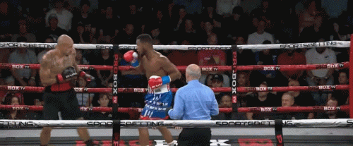 barwef6cs5d4cs65dfcsd.gif