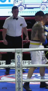 aiellowefwe65486sadfe.gif