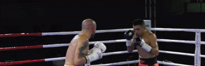 cegliauda65a8s9d8a9sd.gif