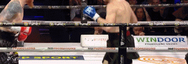 ktfo68as4fd86asdfas.gif
