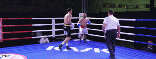 raseo56sd4f6sd.gif