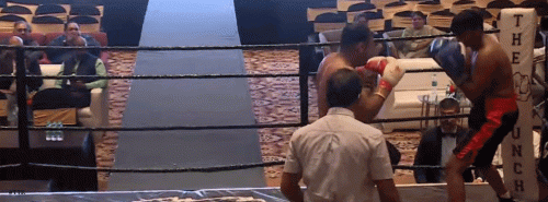 asDAS654asD.gif