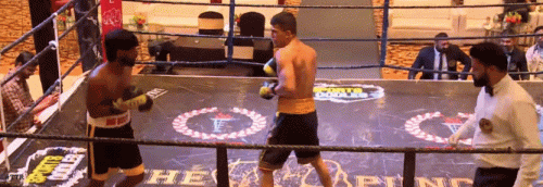 fdgfd65g486fds4gfds.gif