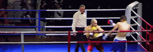 fedgtrestg563245htre45.gif