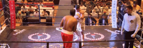 sdf6s54awsdf8654asdf.gif