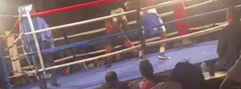 shawko2r23fcsd687sdgf.gif