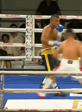 paredes6s87dv6dfvgbs.gif
