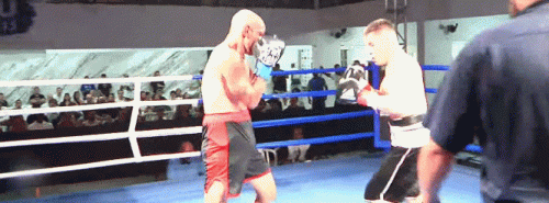 vitor63s45dg68fsd.gif