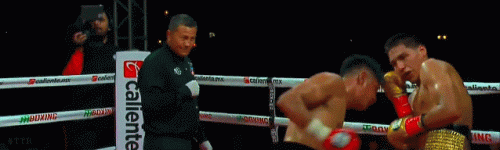 cesena3243qfr345234.gif