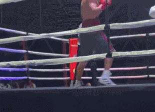 ezgif-5-fd3d69138b.gif