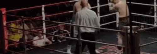 leeingle654a8sdfads.gif