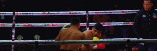 mezatko453f343.gif