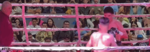 paul1dsfds536436245.gif