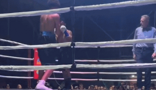 ziggyKO7867680jkhg.gif