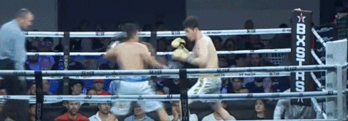 ezgif-2-3637918405.gif