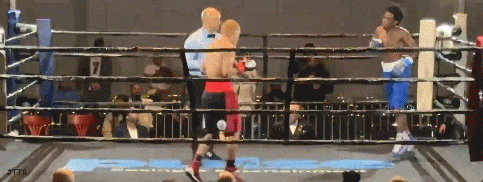 hudson8767sadasdas6886.gif