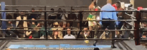 vbellktfo654d86a74sdas.gif