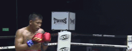 samko654sadas.gif